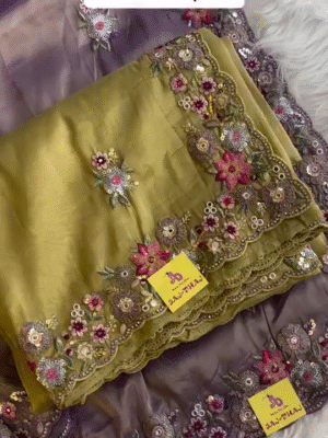 Glamorous Heavy Border Saree – A Statement of Style & Grace ✨💫