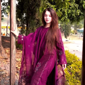 Royal Plum: Luxurious Chikankari Ensemble with Contemporary Flair