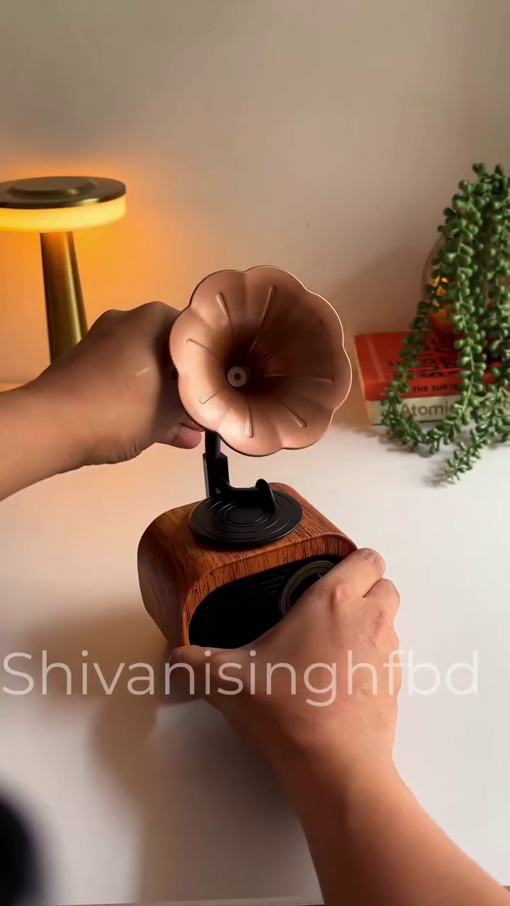 🎶 Vintage Bloom Bluetooth Speaker – Retro Gramophone Style with Modern Sound 🎶 - Image 2